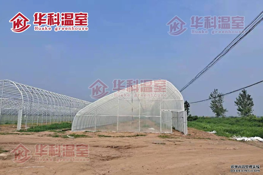 宝丰县前营乡九游国际平台农业示范基地